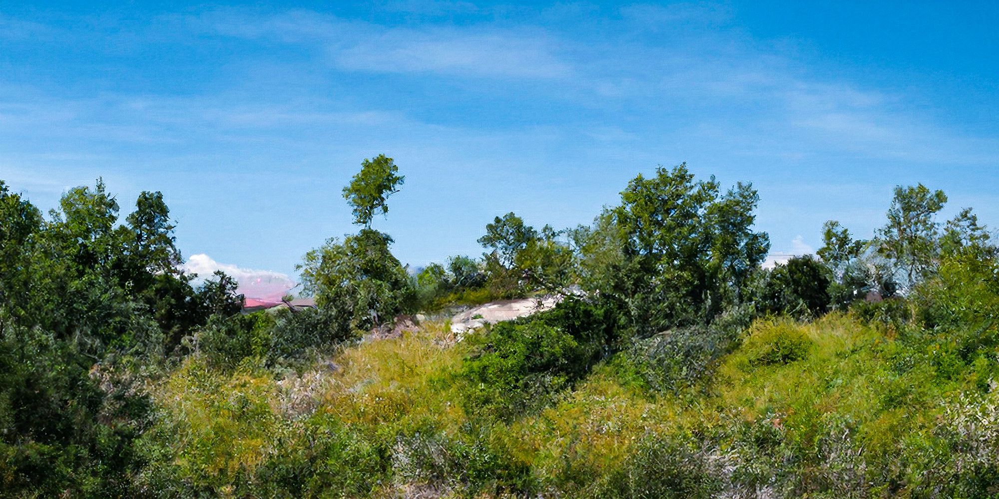 what-to-read-to-become-smarter